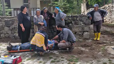 Sivas’ta Ceviz Toplamak İçin Çıktığı Ağaçtan Düştü