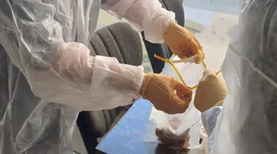 Uşak’ta et ürünleri için kritik inceleme! Sonuçlar bekleniyor