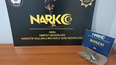 Fatsa’da uyuşturucu operasyonunda karar çıktı: Şüpheli tutuklandı