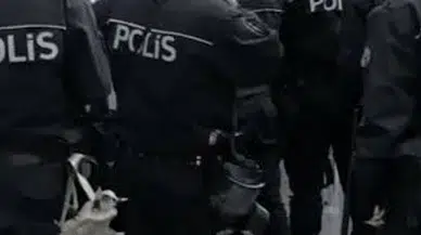 Sahte İkamet Belgelerine Büyük Operasyon: Sivas Dahil 8 İlde 48 Gözaltı