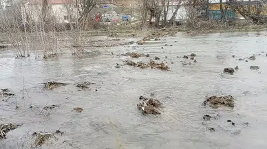 Dere Taştı, Çiftçi Mağdur Oldu: Tarlaları Su Bastı!