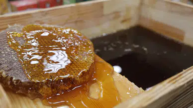 Her 'Organik' Yazısına Kanmayın! Sağlığınız İçin Etiketleri Okuyun