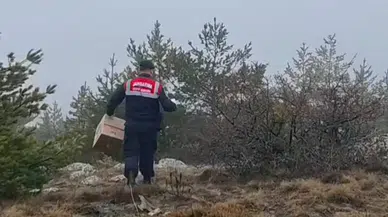 Yaban Hayvanları Unutulmadı: Doğaya Yem Bırakıldı!