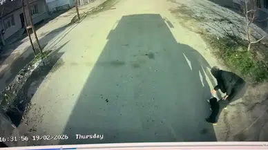 Otobüs Şoföründen Alkışlanacak Hareket! Kafası Sıkışan Kediyi Kurtardı