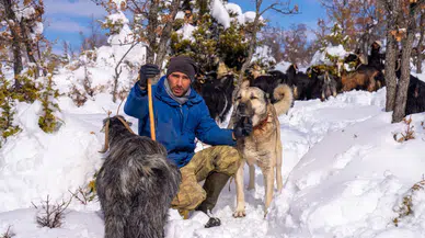 Köpeği Öldürülen Besici Adalet Arıyor: Boş Kovanı Buldu