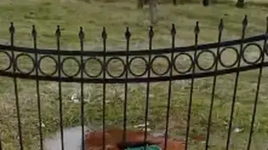 Sivas’ta Paşapınarı Kaynak Suyu Boşa Akıyor