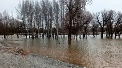 Sivas’ta Taşkın Alarmı: Kalın Çayı Taştı, Tarım Arazileri Sular Altında Kaldı