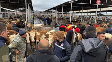 Şarkışla’da Hayvan Sağlığı İçin Kapsamlı Denetim