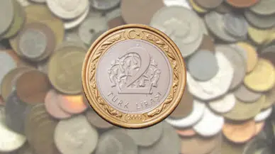 DMM, "Darphane 1 ve 5 kuruş madeni para basmayı durdurdu" iddiasına açıklık getirdi