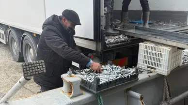 Ramazan Bereketi: Kasa Kasa Ücretsiz Hamsi Dağıtıldı