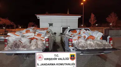Otobüs Bagajında Skandal: Kırşehir'de Sağlıksız Kaz Etleri Yakalandı