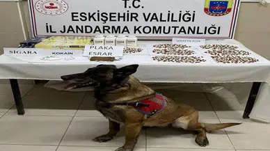 Eskişehir’de Yolcu Otobüsünde Dev Operasyon: Uyuşturucu ve Euro Ele Geçti