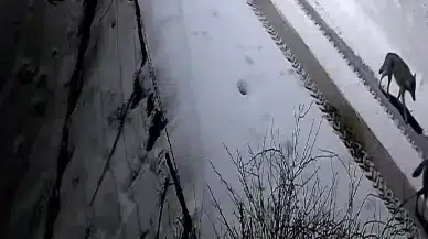 Yıldızeli’nde Kurtlar Sokaklara İndi