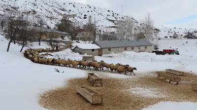 Kar Yağışı Bekleniyor: Üreticiler İçin Kritik Uyarı!