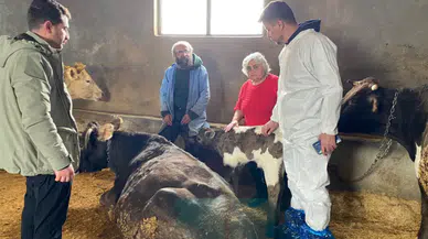 İmranlı’da Büyükbaş Hayvancılık İşletmelerine Eğitim ve Bilgilendirme Ziyareti