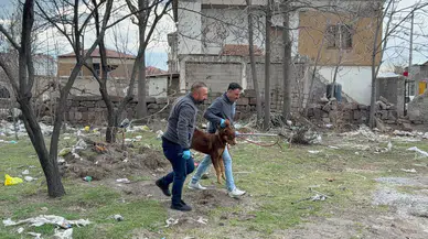 Sokak Köpeğinin Saldırdığı 3 Yaşındaki Çocuk Ağır Yaralandı