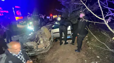 Adıyaman Habipler Köyü Mevkiinde Kaza: Sürücü Hakimiyeti Kaybetti