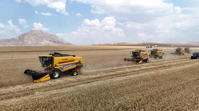 Sivas'ta Kar Bereket Getirdi: 2026 Tarımda Bolluk Yılı Olacak