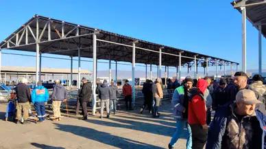 Sivas İl Tarım ve Orman Müdürlüğü’nden Şarkışla Canlı Hayvan Pazarı Ziyareti