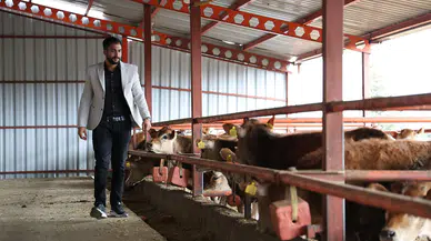 Üniversiteyi Bıraktı Sivas’ta Jersey Sığırı Yetiştiricisi Oldu