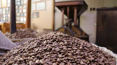 Sivas'ta 100 Yıllık Gelenek: Taş Değirmende Asırlık Kahve Lezzeti