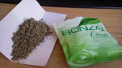 Film Gibi Kovalamaca: 90 Gram Bonzai Ele Geçirildi