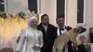 Sivas’ta Düğünde Damat’a Altın Yerine Kangal Taktılar