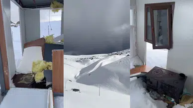 Kar Kütlesini Basamak Yapan Ayılar Yayla Evlerine Çatıdan Girdi