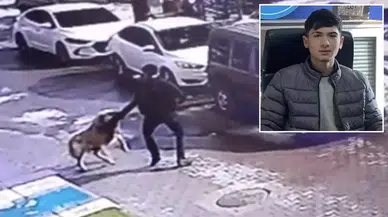 Acı Olay: Sokak Köpeğinden Kaçarken Canından Oldu!