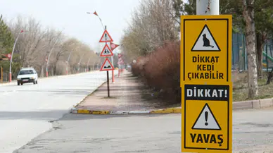 SCÜ Kampüsünde Trafik Güvenliği Artıyor: Altyapı ve Kamera Hamlesi