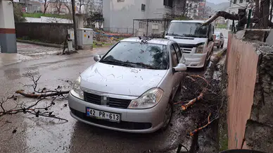 Fırtına Okul Bahçesindeki Ağacı Devirdi: Park Halindeki Araç Ezildi