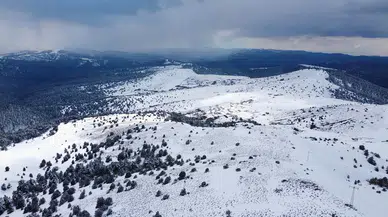 Çam Ormanları ve Kar Bir Arada: Bu Manzara Hayran Bırakıyor