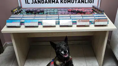 Kayseri’de Kaçak Sigara Operasyonu: 458 Paket Ürün Ele Geçirildi