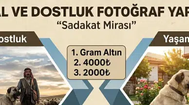 Kangal Kaymakamlığı’ndan “Kangal ve Dostluk: Sadakat Mirası” Fotoğraf Yarışması
