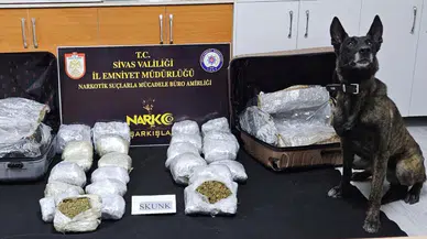 Sivas Şarkışla’da 12,5 Kilo Skunk Ele Geçirildi: 2 Tutuklama