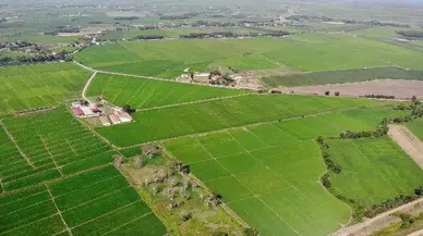 Tarlalardaki izinsiz yapılar bir ay içinde yıkılacak
