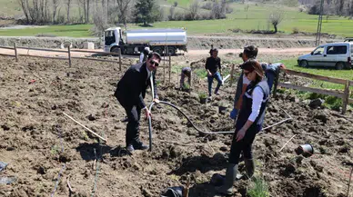 Doğanşar’da Tarımsal Üretime Yeni Katkı: Yaban Mersini Projesi Başlatıldı