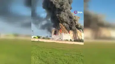 Manavgat’ta patates tesisinde yangın: işletme küle döndü