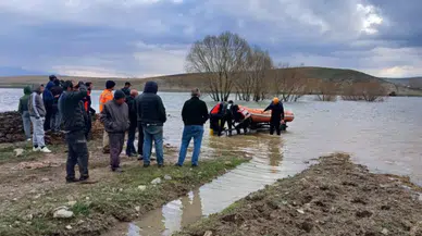Sivas’ta Barajda mahsur kalan ineği AFAD kurtardı