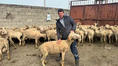 Kurban Bereketi Genç Çiftçiye Çifte Mutluluk Getirdi
