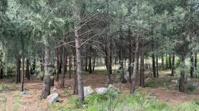 Oğlu silahla öldürülen annenin cesedi toprağa gömülü bulundu