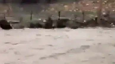Sivas Kurtlapa’da Sağanak Yağış Sonrası Sel: Ev ve Tarım Alanlarında Hasar