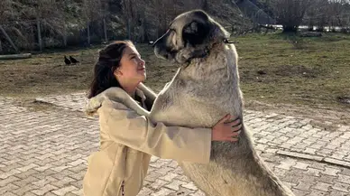 Kangal’da “Kangal ve Dostluk” Fotoğraf Yarışması Sonuçlandı