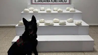 Jandarmadan Van’da Büyük Operasyon: 443 Kilo Uyuşturucu