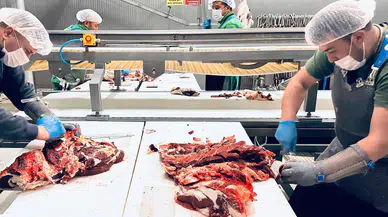 Sivas Belediyesi Hayat Ağacı Derneği Kurban Bağışlarını İhtiyaç Sahiplerine Ulaştırıyor