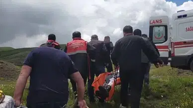 İmranlı’da Ayı Saldırısı: Yaralı Hastaneye Kaldırıldı