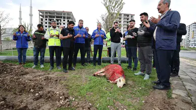 Sivas’ta Teknolojik Altyapı Yatırımları Devam Ediyor