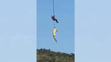 Akılalmaz olay! Selde kaybolan iş insanı timsahın midesinden çıktı