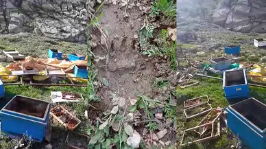 Sivas'ta Kış Uykusundan Uyanan Ayı Arı Kovanlarını Parçaladı