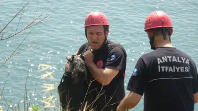 Antalya’da Köpek İçin Film Gibi Kurtarma Operasyonu